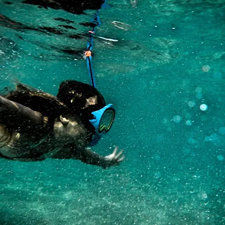Naxos Town 5 Sunset And Sea View Next To The
